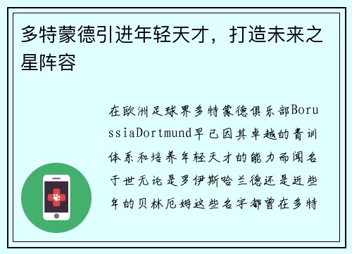 多特蒙德引进年轻天才，打造未来之星阵容