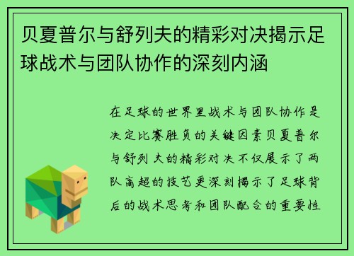 贝夏普尔与舒列夫的精彩对决揭示足球战术与团队协作的深刻内涵