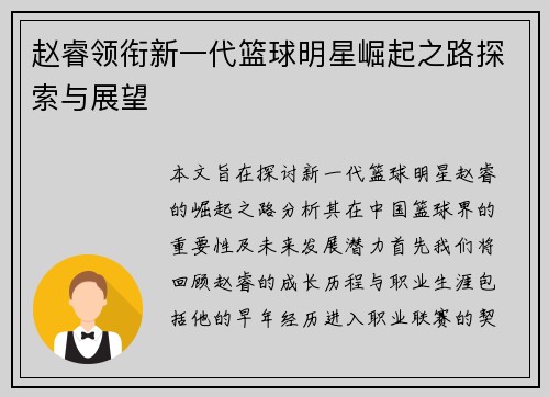 赵睿领衔新一代篮球明星崛起之路探索与展望