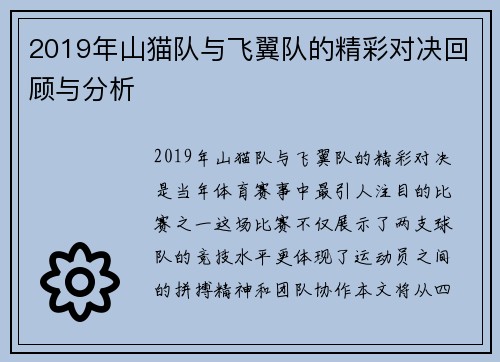 2019年山猫队与飞翼队的精彩对决回顾与分析