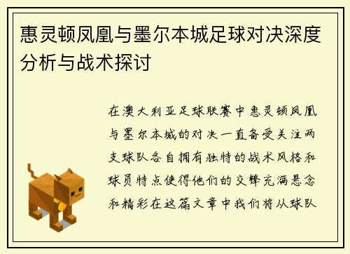 惠灵顿凤凰与墨尔本城足球对决深度分析与战术探讨
