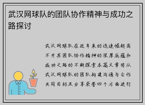 武汉网球队的团队协作精神与成功之路探讨